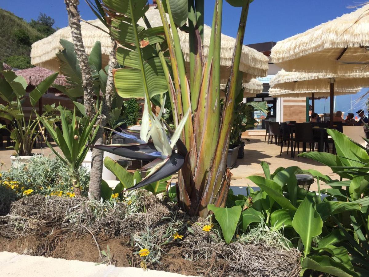 Suebi Rooms Termoli Luaran gambar