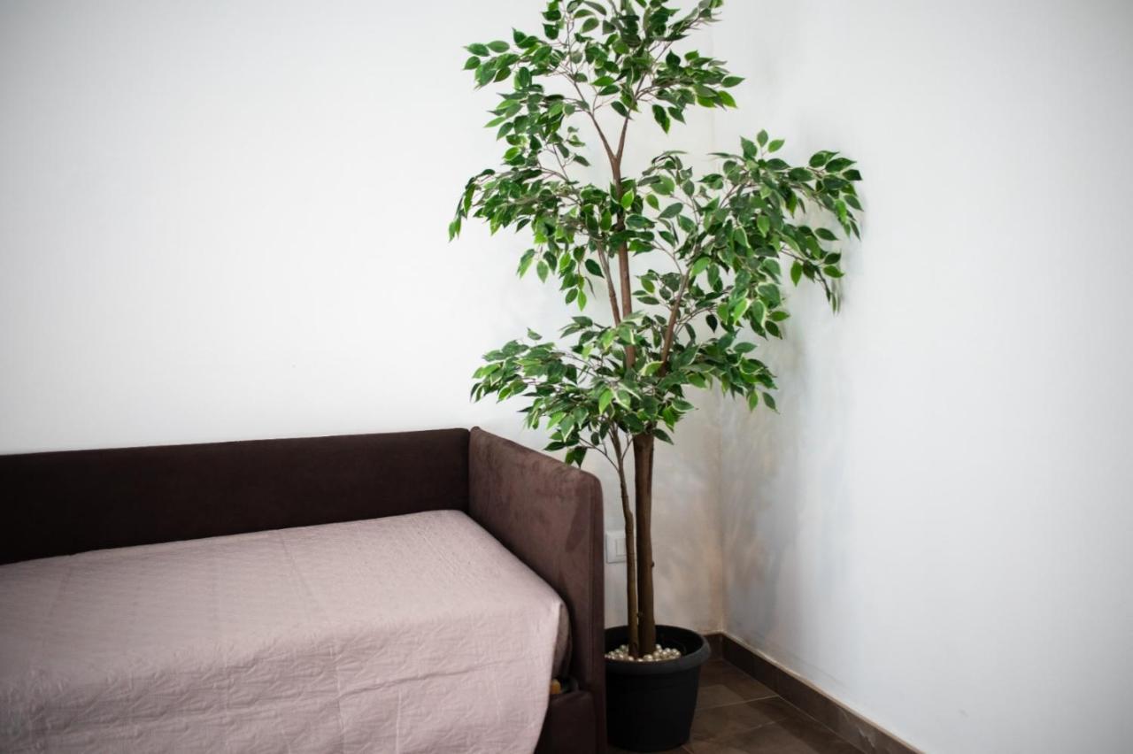 Suebi Rooms Termoli Luaran gambar