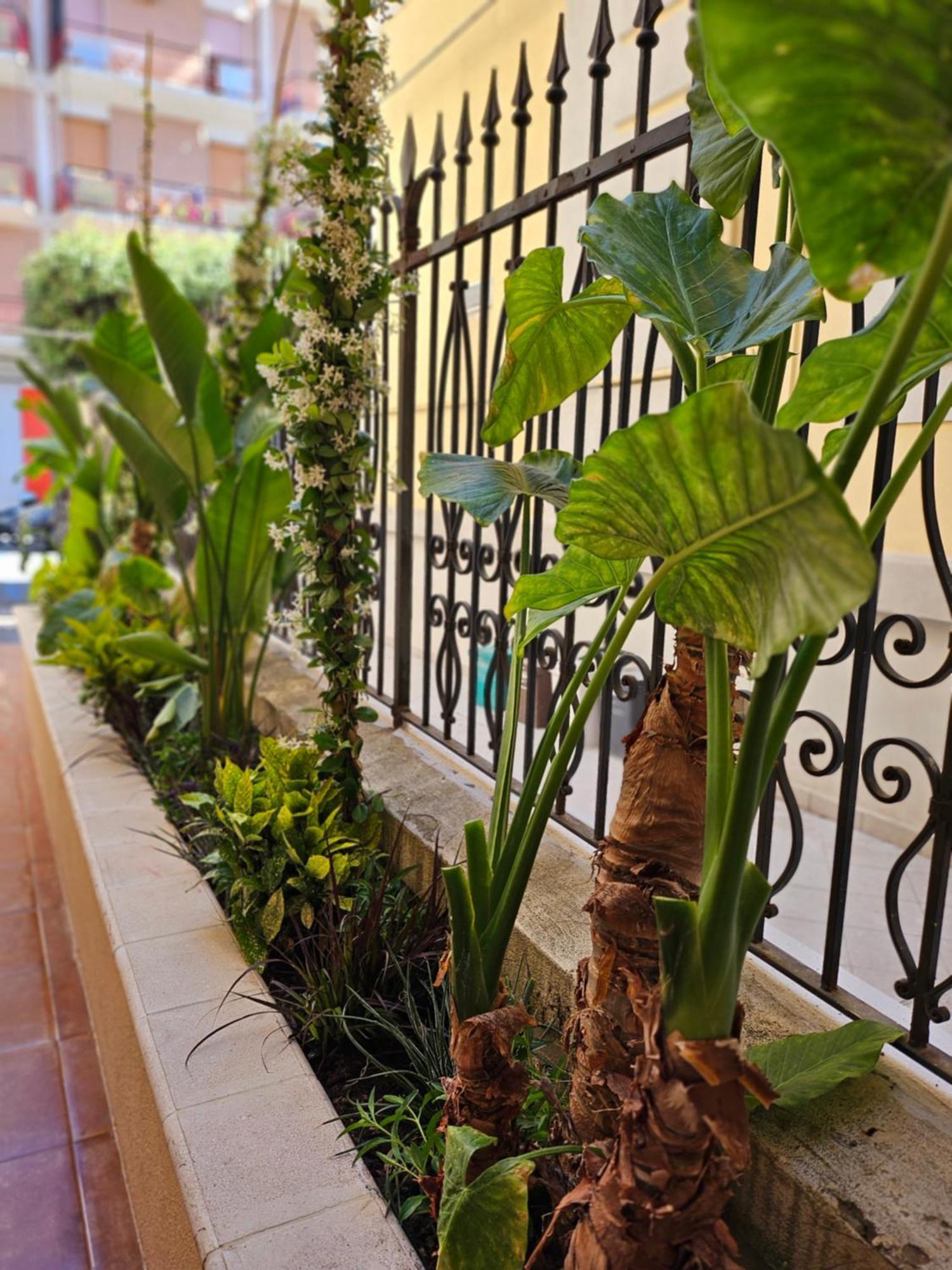 Suebi Rooms Termoli Luaran gambar